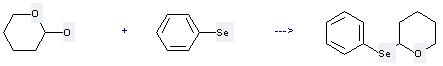 2H-Pyran-2-ol,tetrahydro- and Benzeneselenol can be used to produce 2-Phenylselanyl-tetrahydro-pyran 